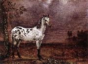 paulus potter The Spotted Horse oil
